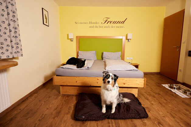 Hotel Grimming-Hunde Hotelzimmer mit Doppelbett 