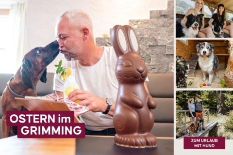 Hundehotel Grimming in Österreich