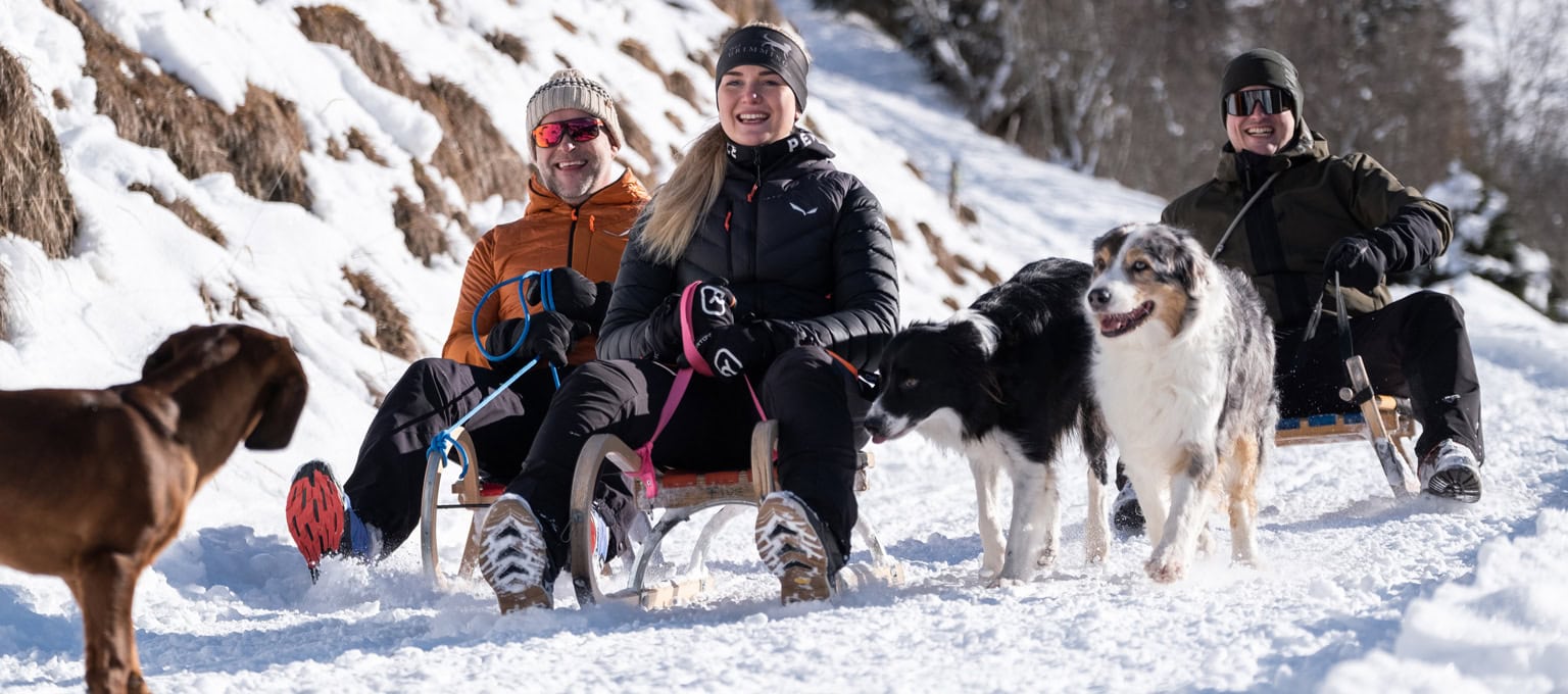 Vergnügte Urlauber beim Rodeln, begleitet von ihren Hunden